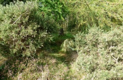 Swarth Howe Barrow, stone row and ring cairn