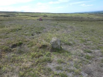Hagg End Cairnfield