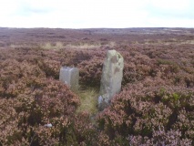Black Ridge BSs (Snilesworth)