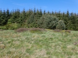 Lord Stones Cairn Circle.