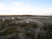 Pike Howe Tumuli