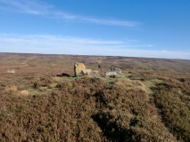 Codhill Heights