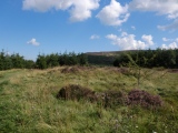 Lord Stones Cairn Circle.