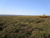 Wheeldale Moor East