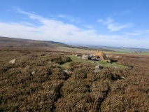 Codhill Heights