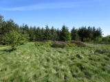 Lord Stones Cairn Circle.