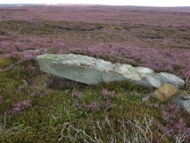 Carr Cote Ridge (Laskill Pasture Moor)