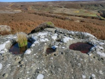 Upper Tripsdale Earthwork