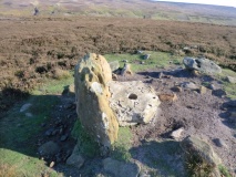Codhill Heights