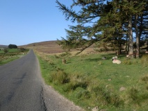 Hand Stone (Commondale)