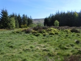 Lord Stones Cairn Circle.