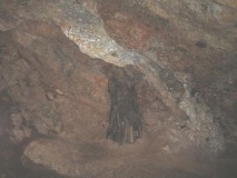 Mother Shipton's Cave and Petrifying Well 