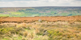 Stone Haggs SS1