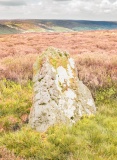 Stone Haggs SS1