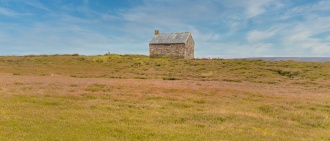 Nelson Stone (Swainby Shooting House)