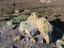 Codhill Heights