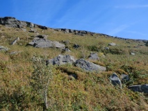 Dancing Stone (Botton)