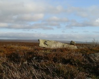Carr Cote Ridge (Laskill Pasture Moor)