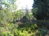 Lord Stones Cairn Circle.