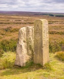Nelson Stone (Swainby Shooting House)