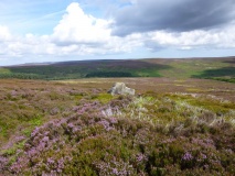 Lamb Stone (Holiday Hill)