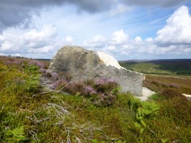 Lamb Stone (Holiday Hill)
