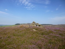 Codhill Heights