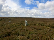 Pike Hill Marker Stone (Egton High Moor)