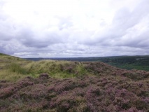 Seavy Pond Round Barrows