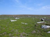 House Crag (Howl Moor)