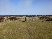 Steeple Cross (Arden Little Moor)