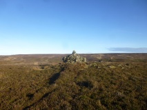 Codhill Heights