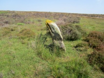Howl Moor Dike
