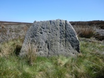 Nan Stone.