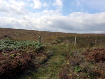 Glaisdale Low Moor West