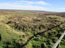 Percy Cross Rigg Settlement
