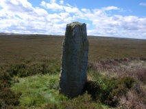Long Stone (Easington High Moor)