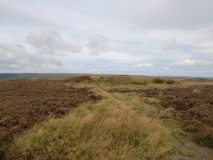 Two Howes Rigg