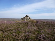 Codhill Heights