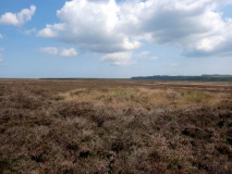 Levisham Moor South RB2