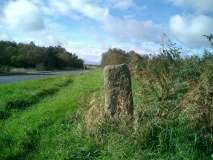 Lady Cross (Egton Low Moor)