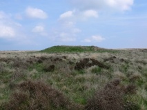 Newton Mulgrave Moor RB10