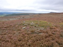 Whorlton Moor RB2