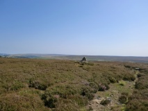 Wheeldale Moor East