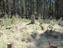 Pye Rigg Howe (Staintondale Moor)