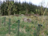 Lord Stones Cairn Circle.