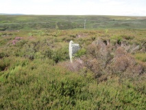 Skelderskew Moor North East