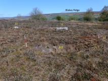 Harland Moor Stone Circle