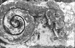 Unknown Serpent carving somewhere in Great Ayton, North Yorkshire