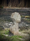 Old Wife's Neck